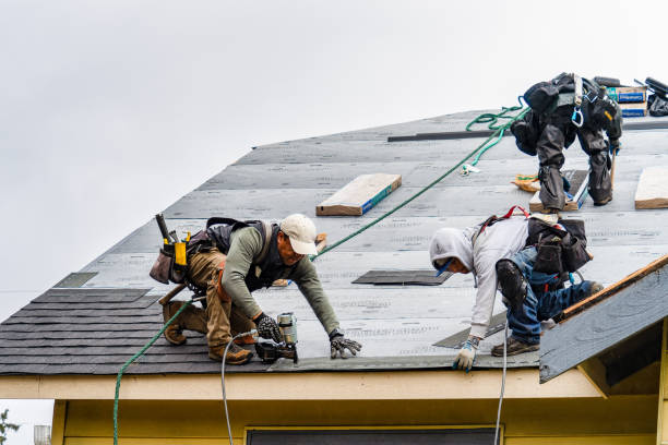 Professional Gutter Installation technician working in Honey Creek, IA